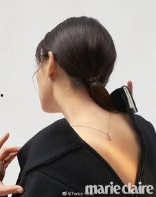 天鹅颈图片,自然界的优雅与和谐